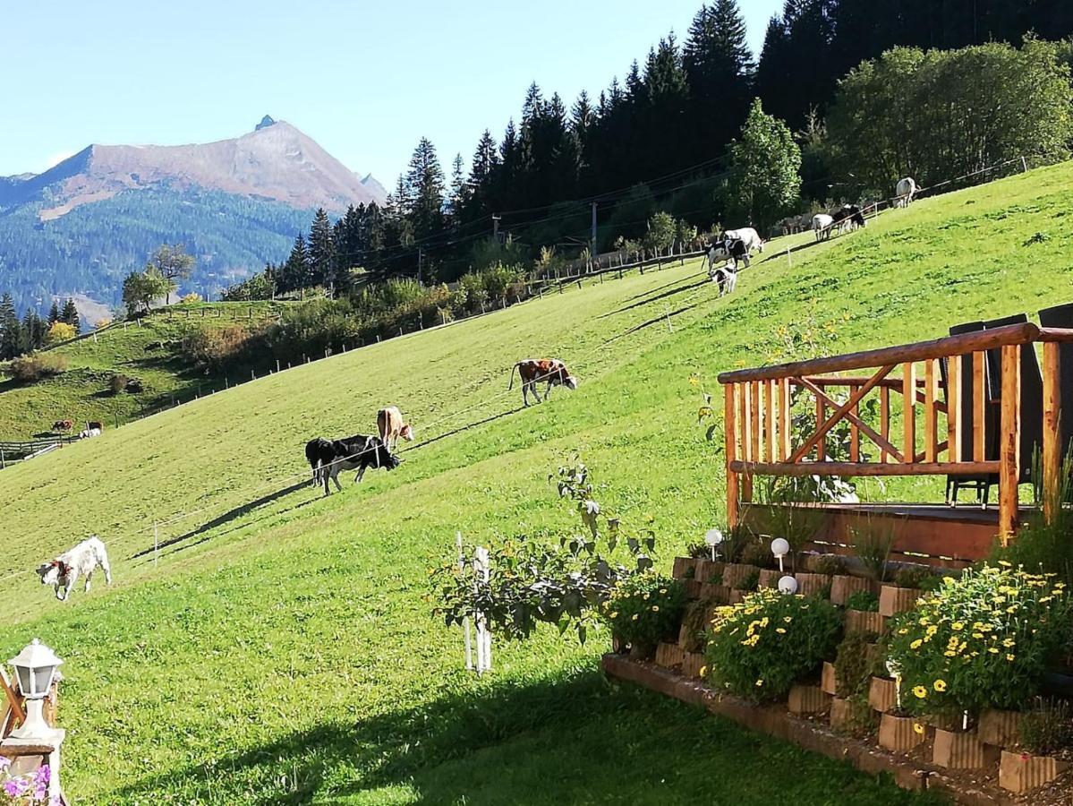 Urlaub Am Krausberghof, Apartment Mit Balkon Und Parkplatz, Inmitten Der Natur, Sauna Und Infrarotkabine, Kostenfreie Kaffeekapseln, 6 Fahrminuten Zur Alpentherme Gastein Und Zur Schlossalmbahn, Spielplatz Bad Hofgastein Exterior photo