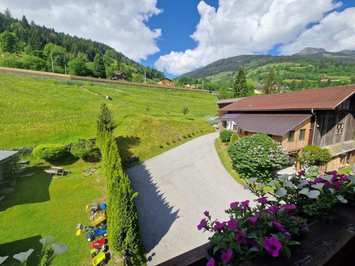 Urlaub Am Krausberghof, Apartment Mit Balkon Und Parkplatz, Inmitten Der Natur, Sauna Und Infrarotkabine, Kostenfreie Kaffeekapseln, 6 Fahrminuten Zur Alpentherme Gastein Und Zur Schlossalmbahn, Spielplatz Bad Hofgastein Exterior photo