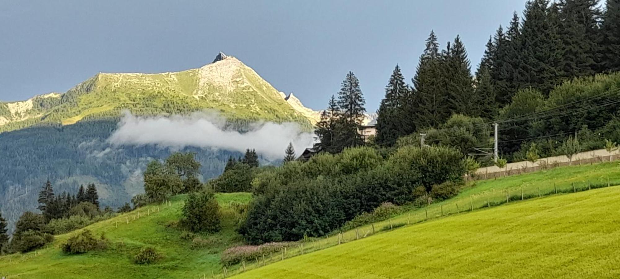 Urlaub Am Krausberghof, Apartment Mit Balkon Und Parkplatz, Inmitten Der Natur, Sauna Und Infrarotkabine, Kostenfreie Kaffeekapseln, 6 Fahrminuten Zur Alpentherme Gastein Und Zur Schlossalmbahn, Spielplatz Bad Hofgastein Exterior photo