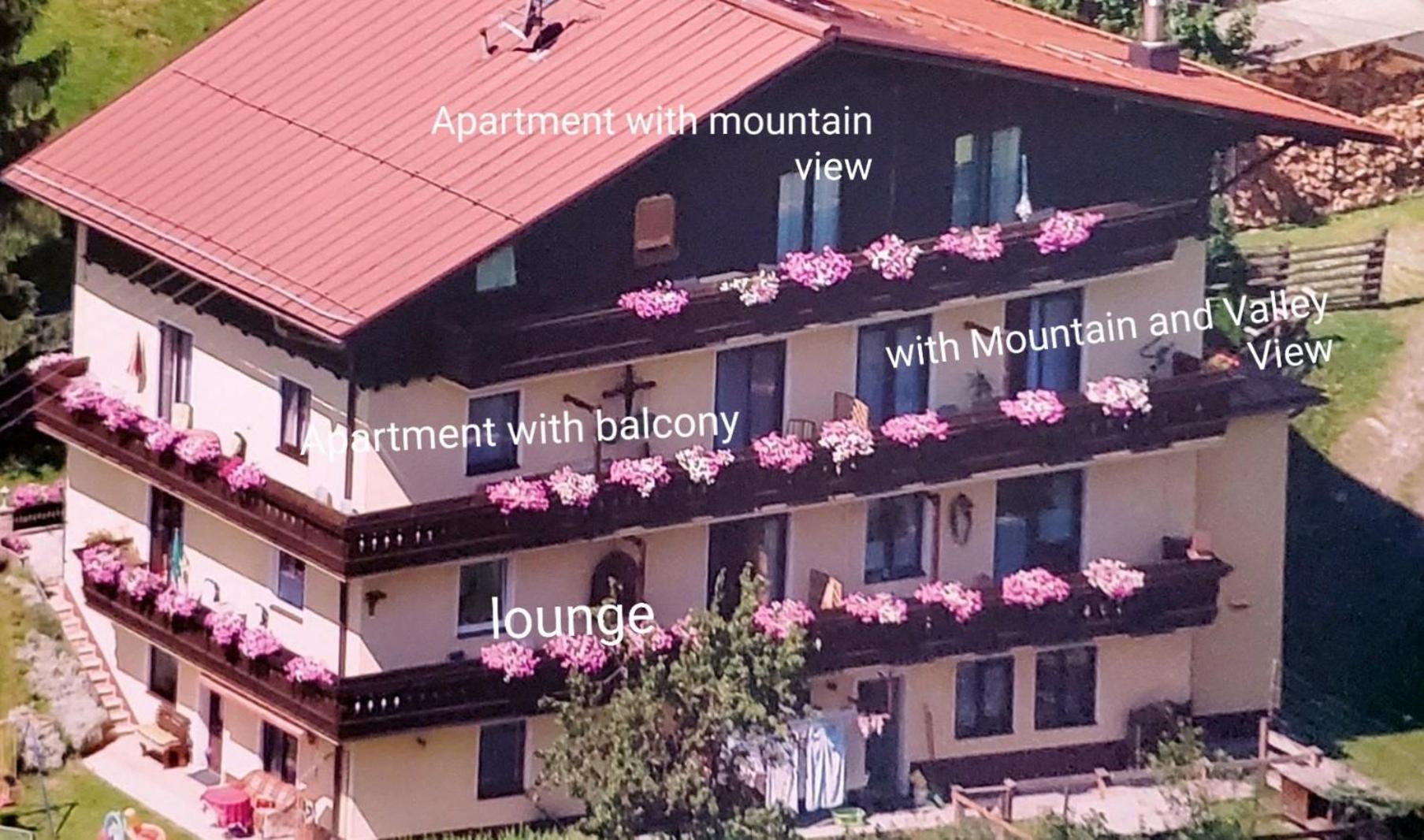 Urlaub Am Krausberghof, Apartment Mit Balkon Und Parkplatz, Inmitten Der Natur, Sauna Und Infrarotkabine, Kostenfreie Kaffeekapseln, 6 Fahrminuten Zur Alpentherme Gastein Und Zur Schlossalmbahn, Spielplatz Bad Hofgastein Exterior photo