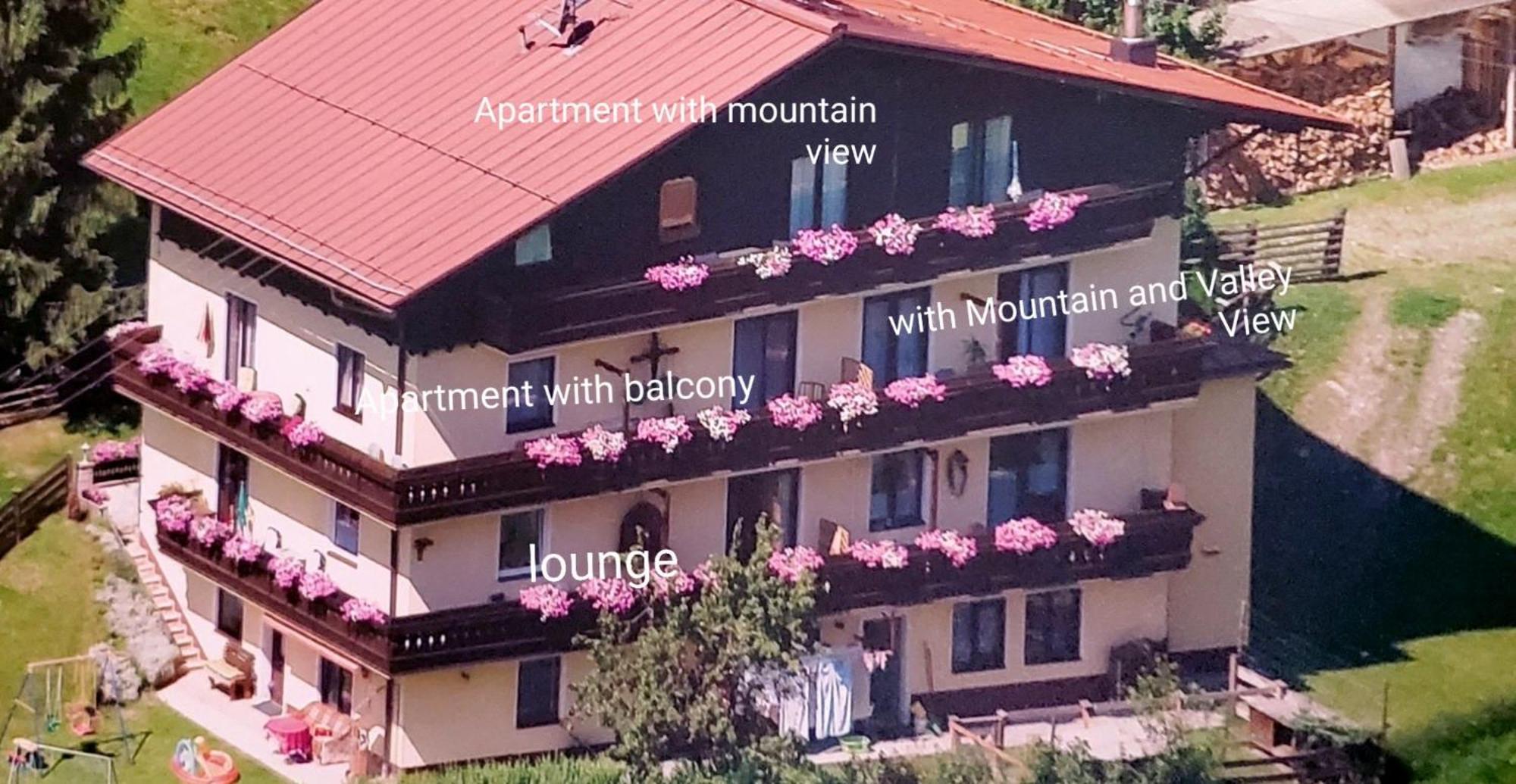 Urlaub Am Krausberghof, Apartment Mit Balkon Und Parkplatz, Inmitten Der Natur, Sauna Und Infrarotkabine, Kostenfreie Kaffeekapseln, 6 Fahrminuten Zur Alpentherme Gastein Und Zur Schlossalmbahn, Spielplatz Bad Hofgastein Exterior photo